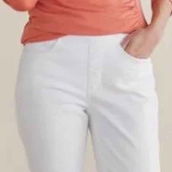 NWT Soft Surroundings The Ultimate Denimpull on Relaxed Jeans Size 3X. - Picture 7 of 8